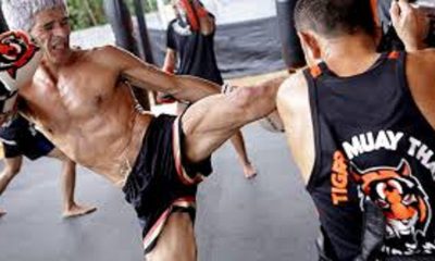 Way To Use For Developing Your Muay Thai and Weight Loss Business In Thailand