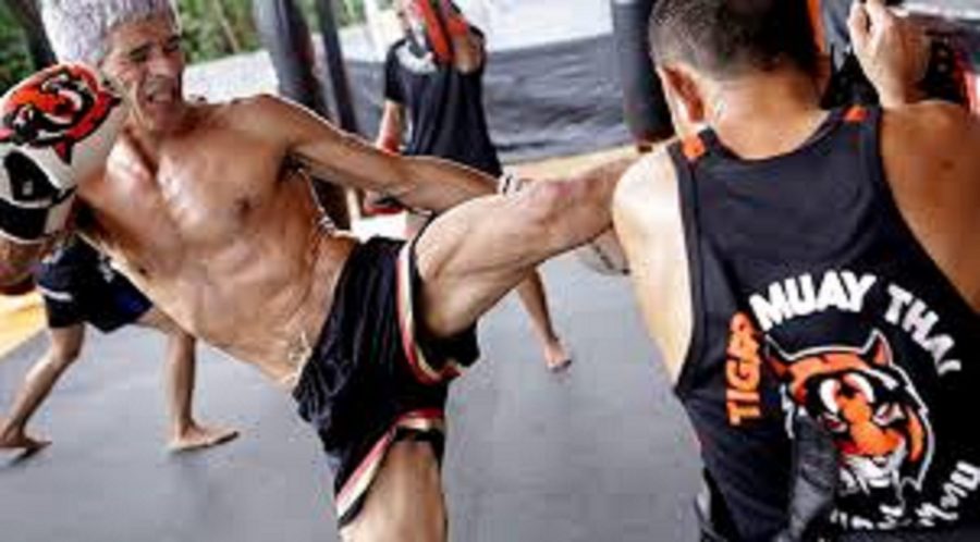 Way To Use For Developing Your Muay Thai and Weight Loss Business In Thailand